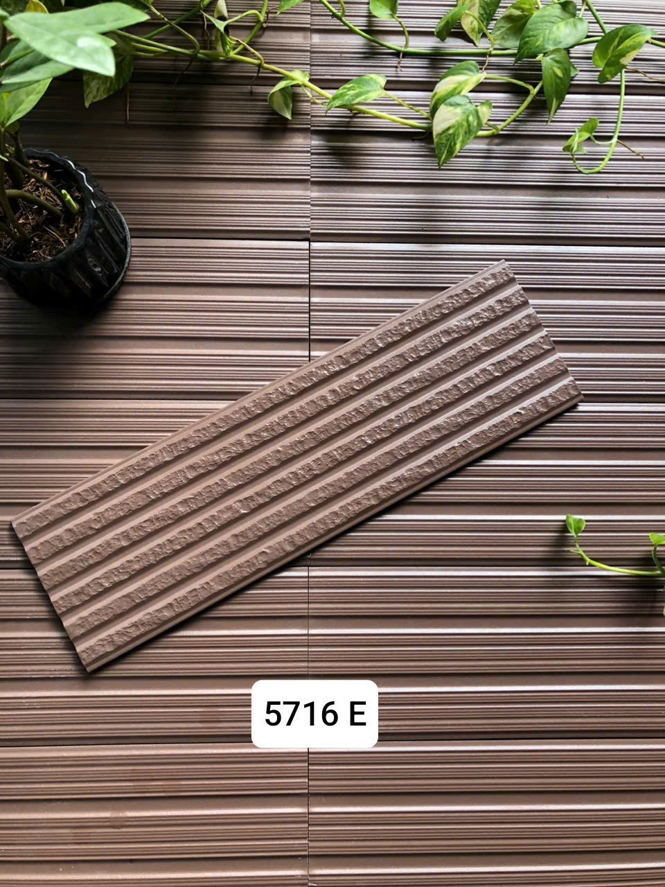 Việt Nhật 5716F
