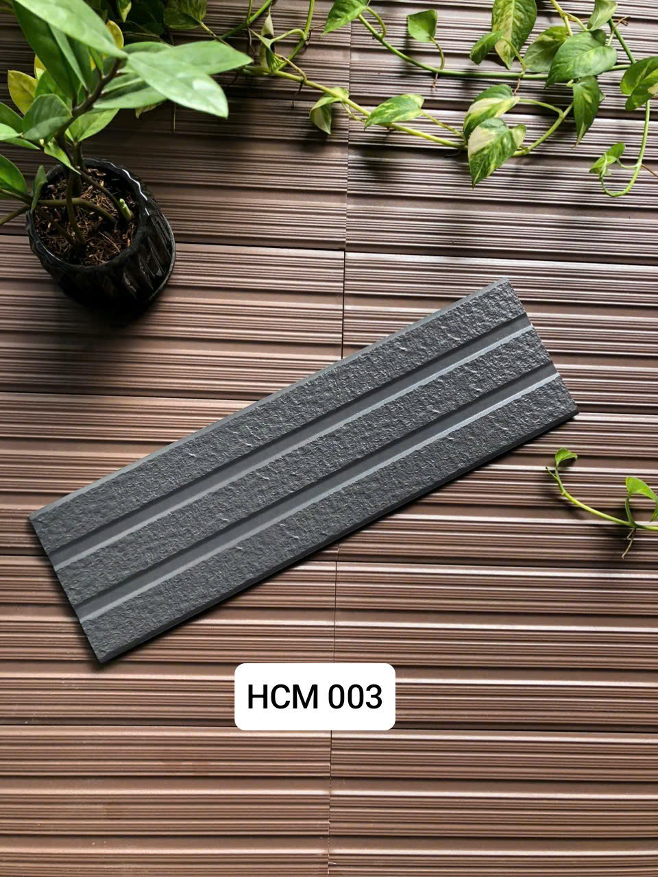 Việt Nhật HCM 003