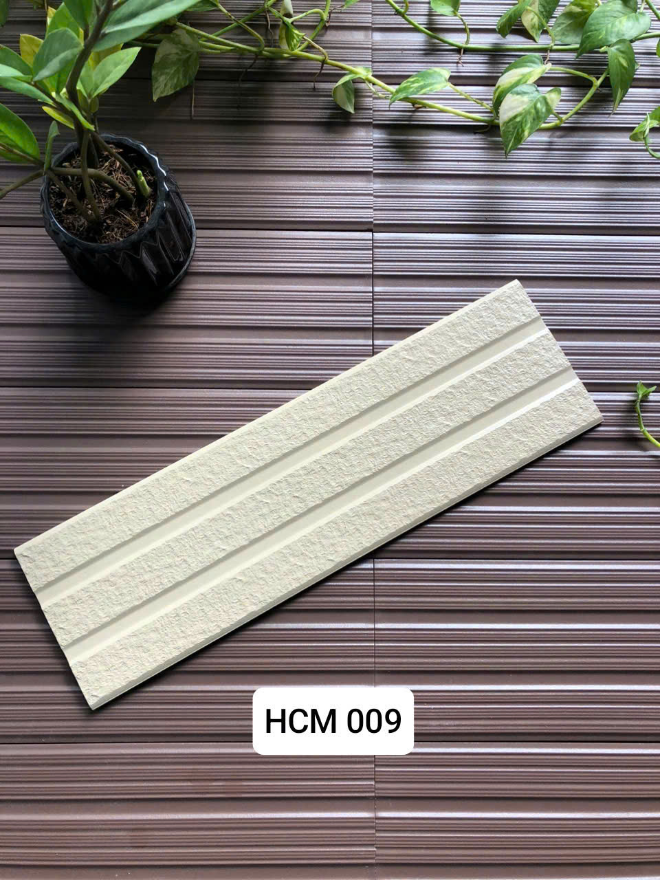 Việt Nhật HCM 055