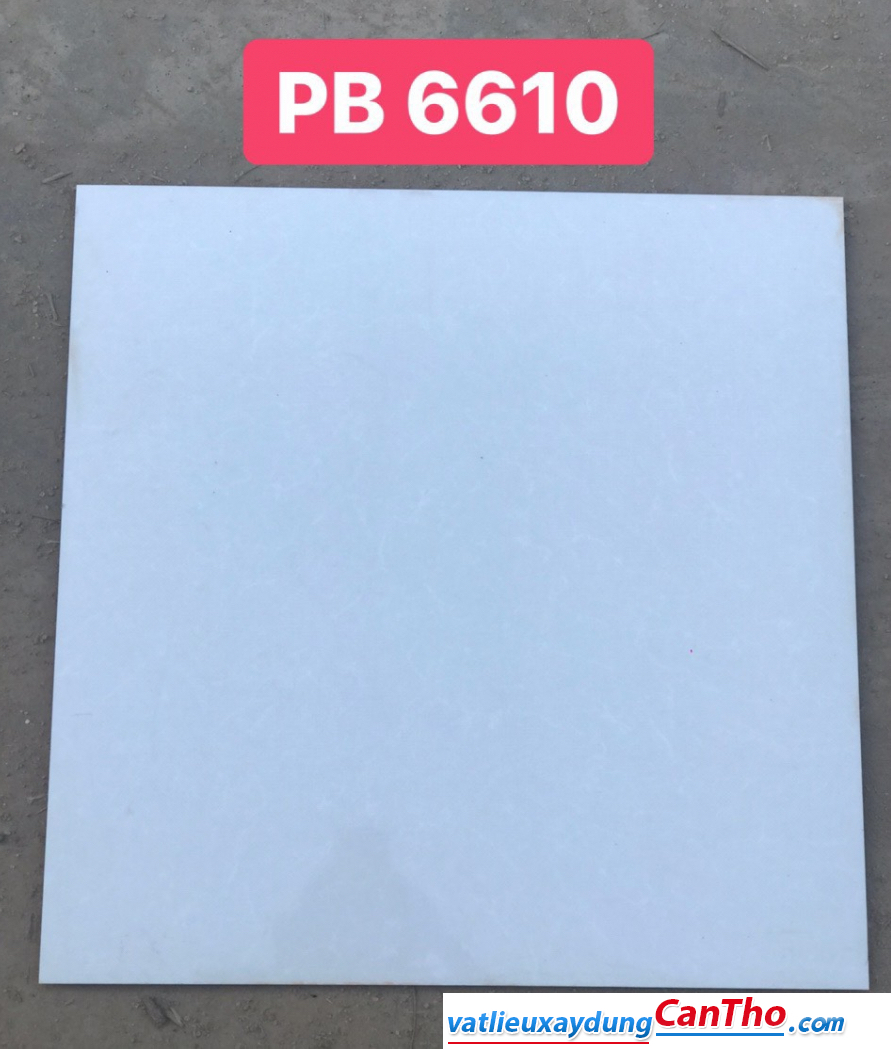 Gạch lát nền PAK PB 6610