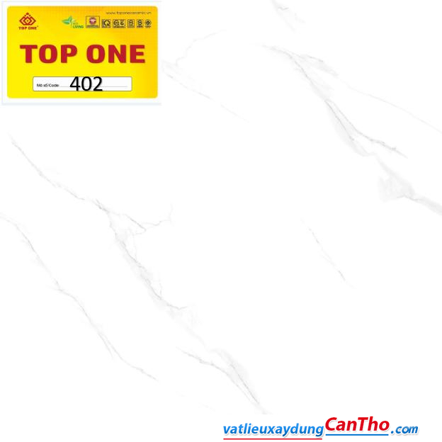 Gạch lát nền Top One 402