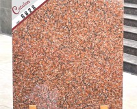 Gạch lát nền Catalan 68028